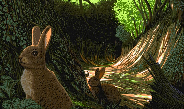Black Dragon Press x Mondo #29: Watership Down Poster - Image 2