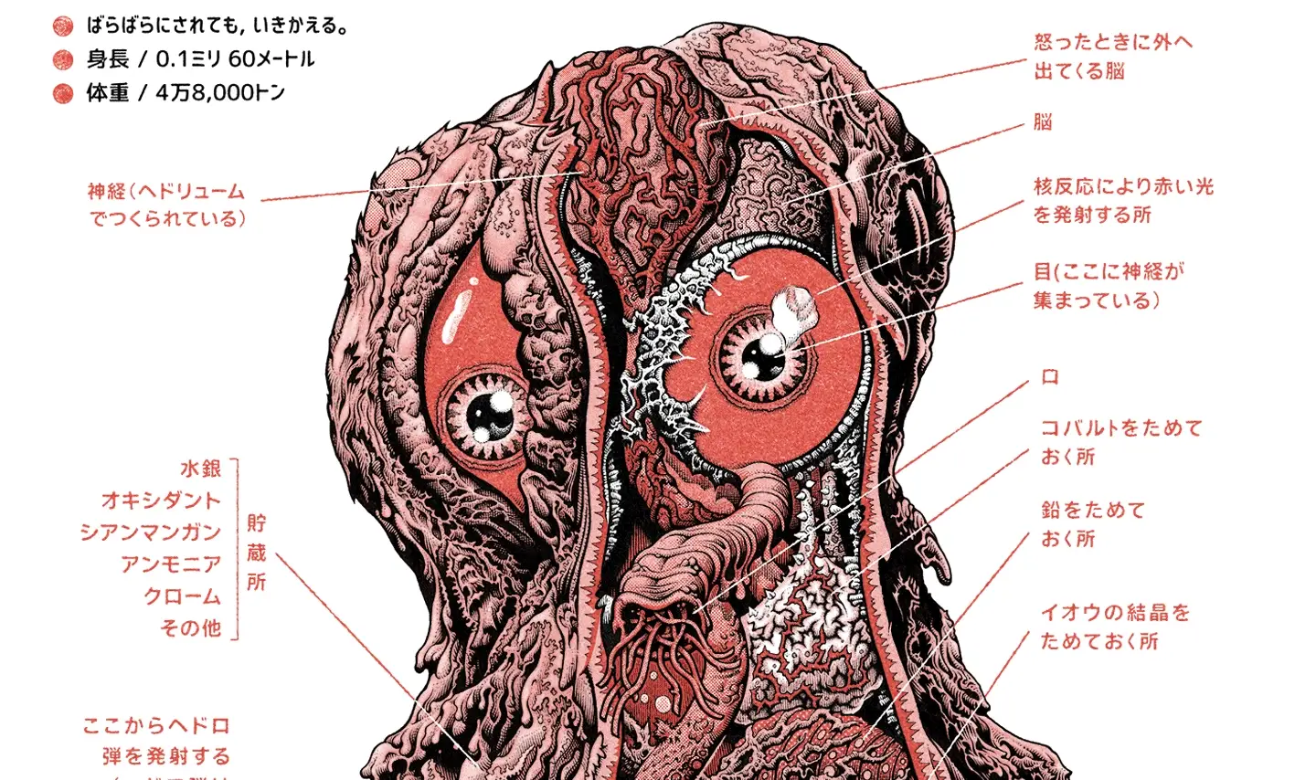 Hedorah Anatomy DesignerCon Variant Poster - Image 2