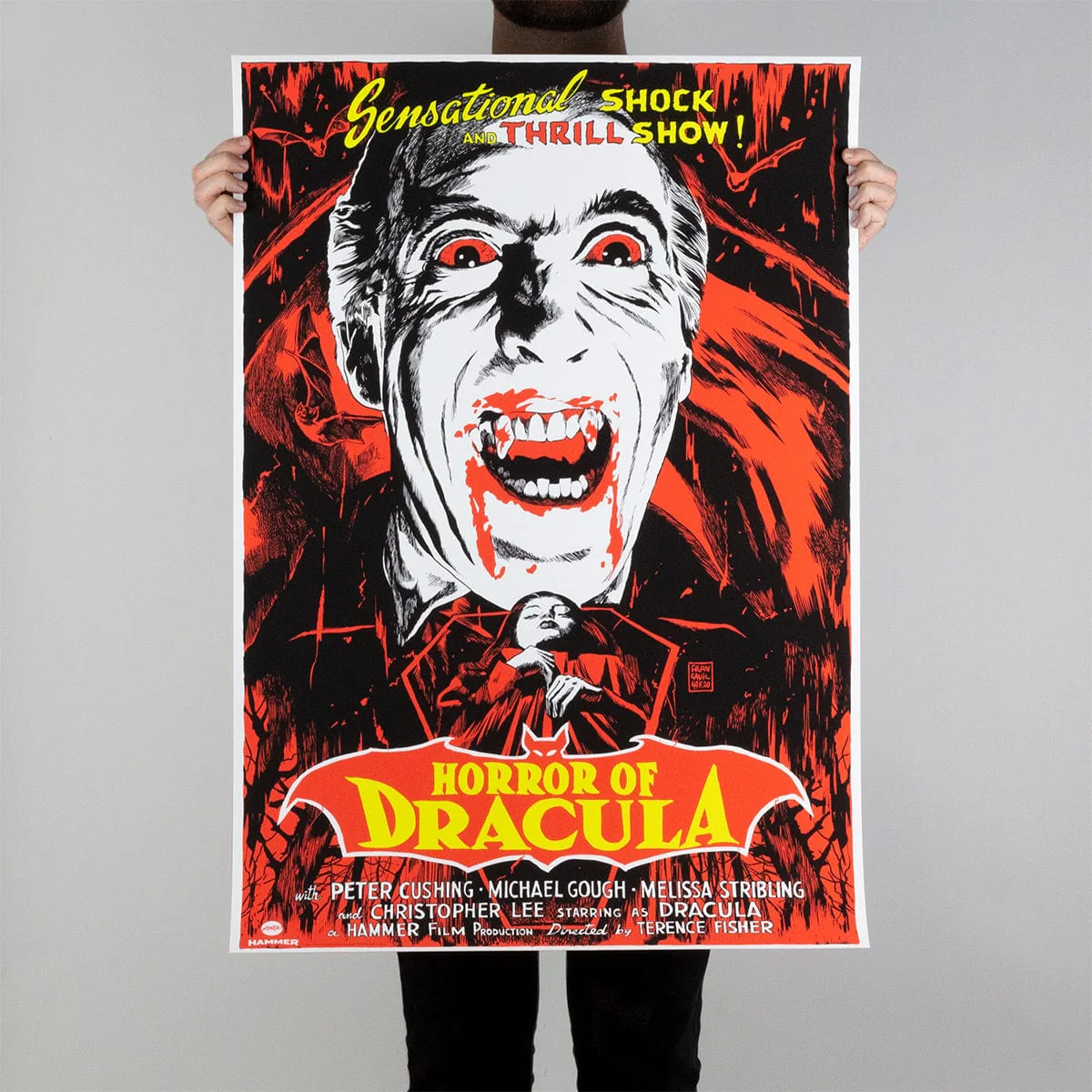 Horror of Dracula Variant Poster - Image 8