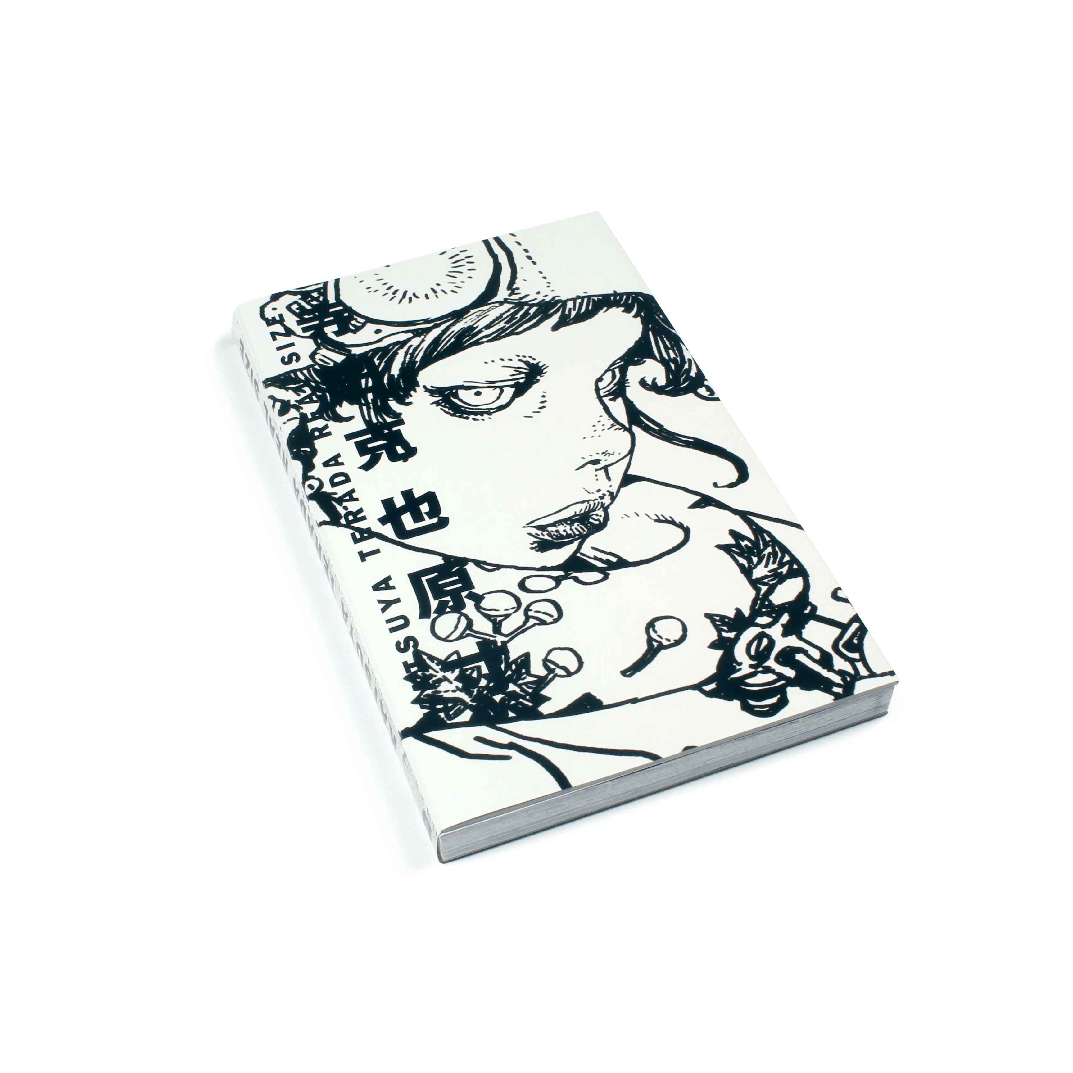 Katsuya Terada: Real Size - Image 2