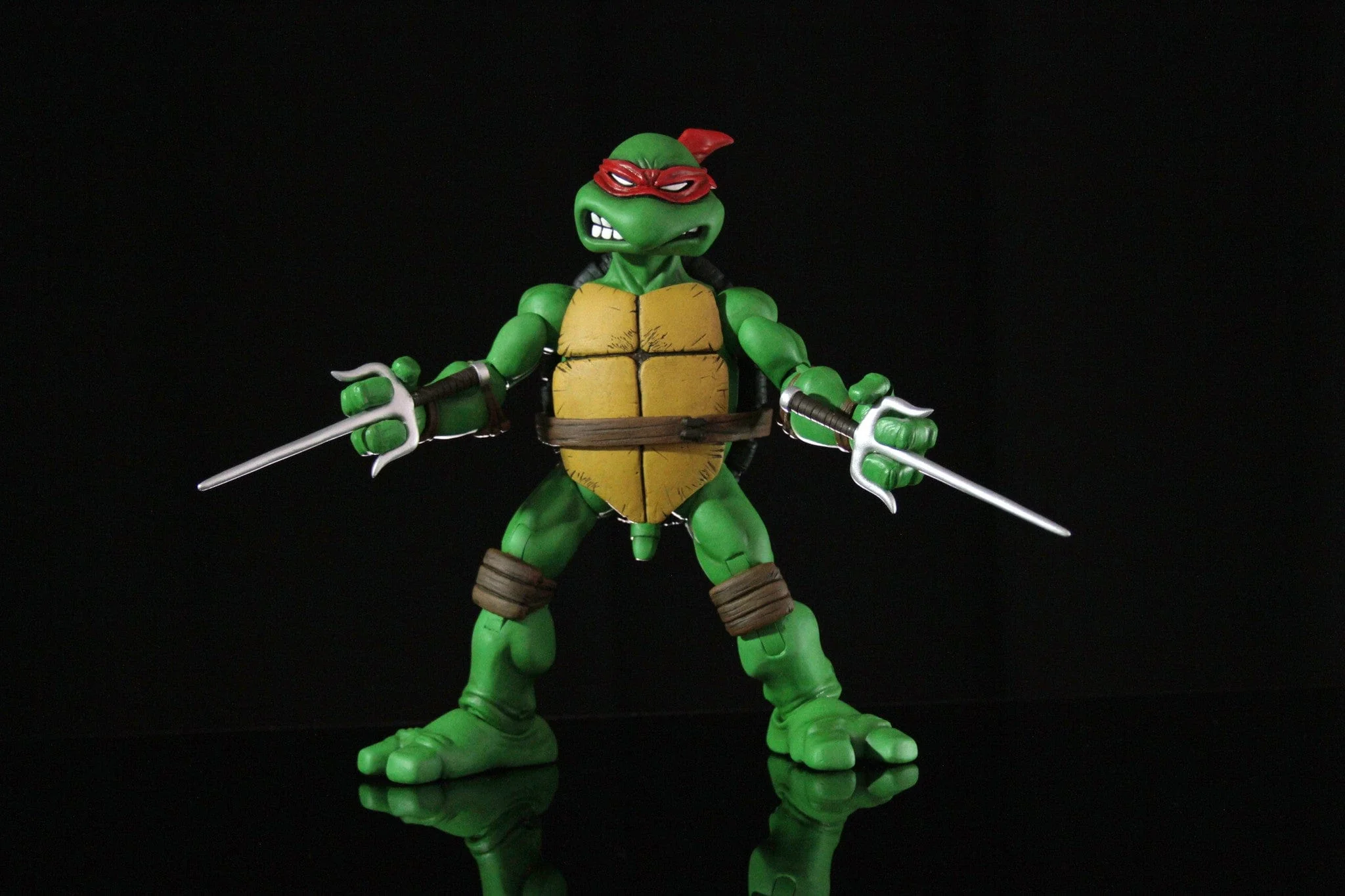 Raphael 1/6 Scale Collectible Figure - Image 12