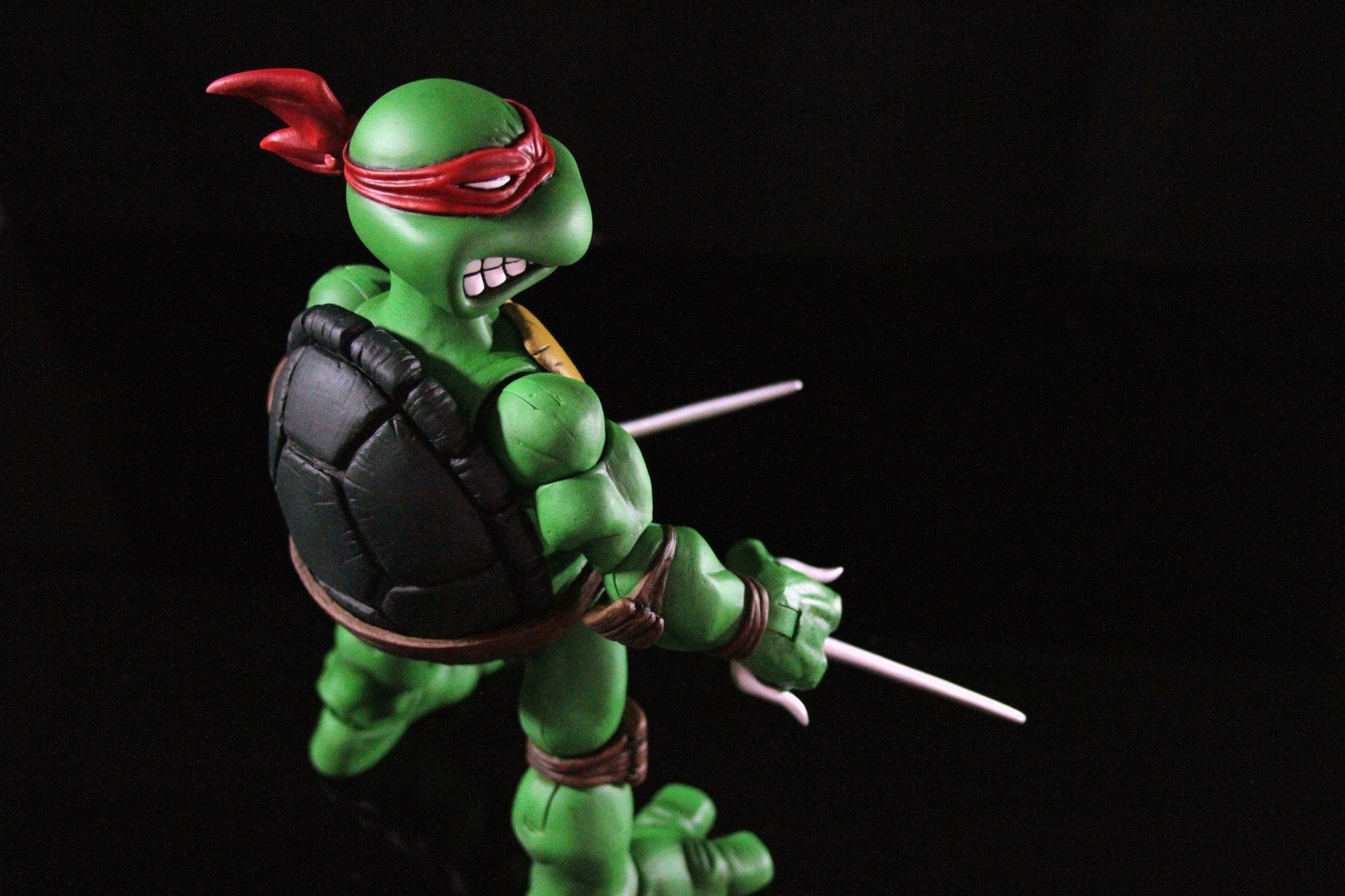Raphael 1/6 Scale Collectible Figure - Image 13