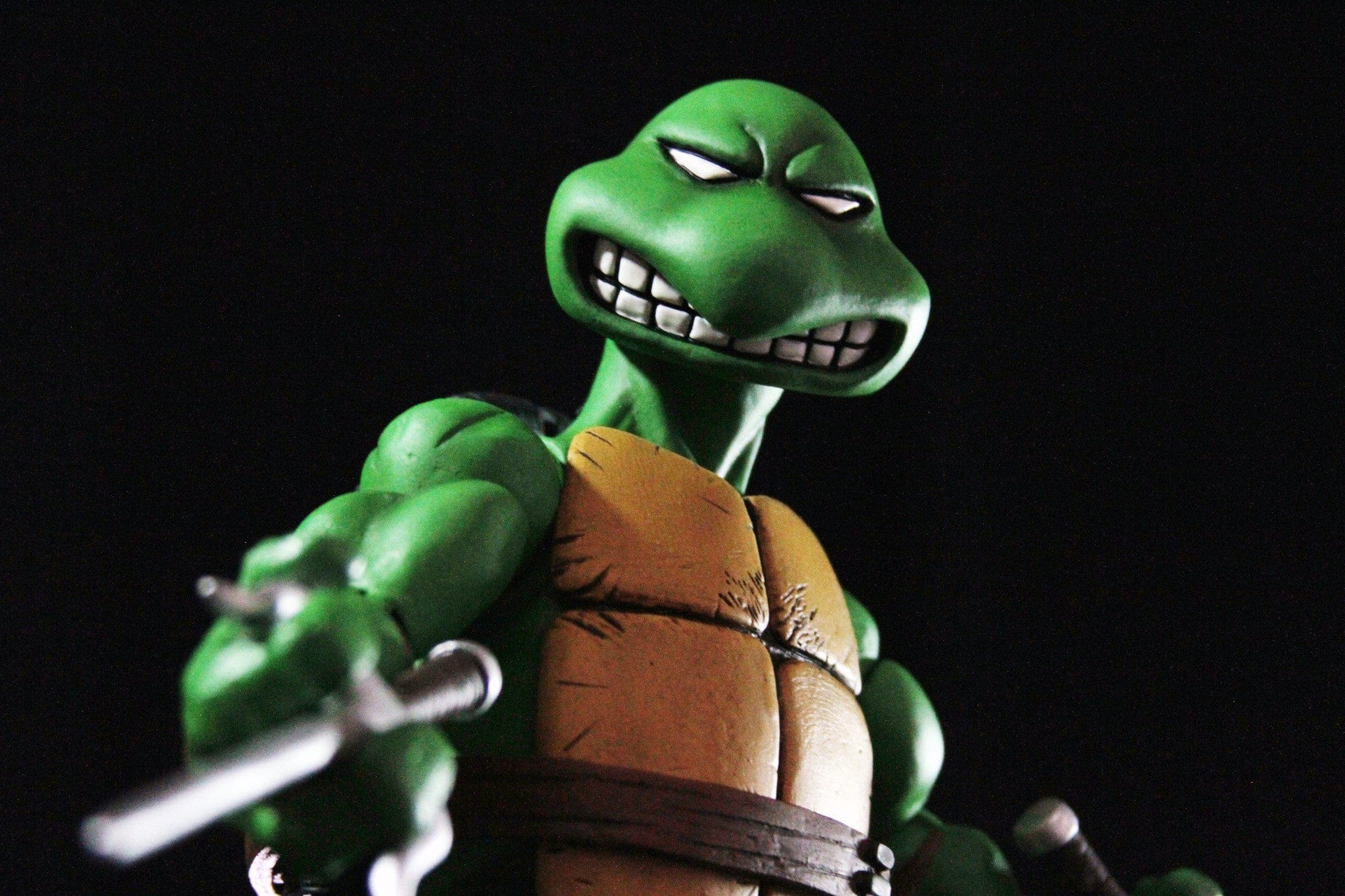 Raphael 1/6 Scale Collectible Figure - Image 17