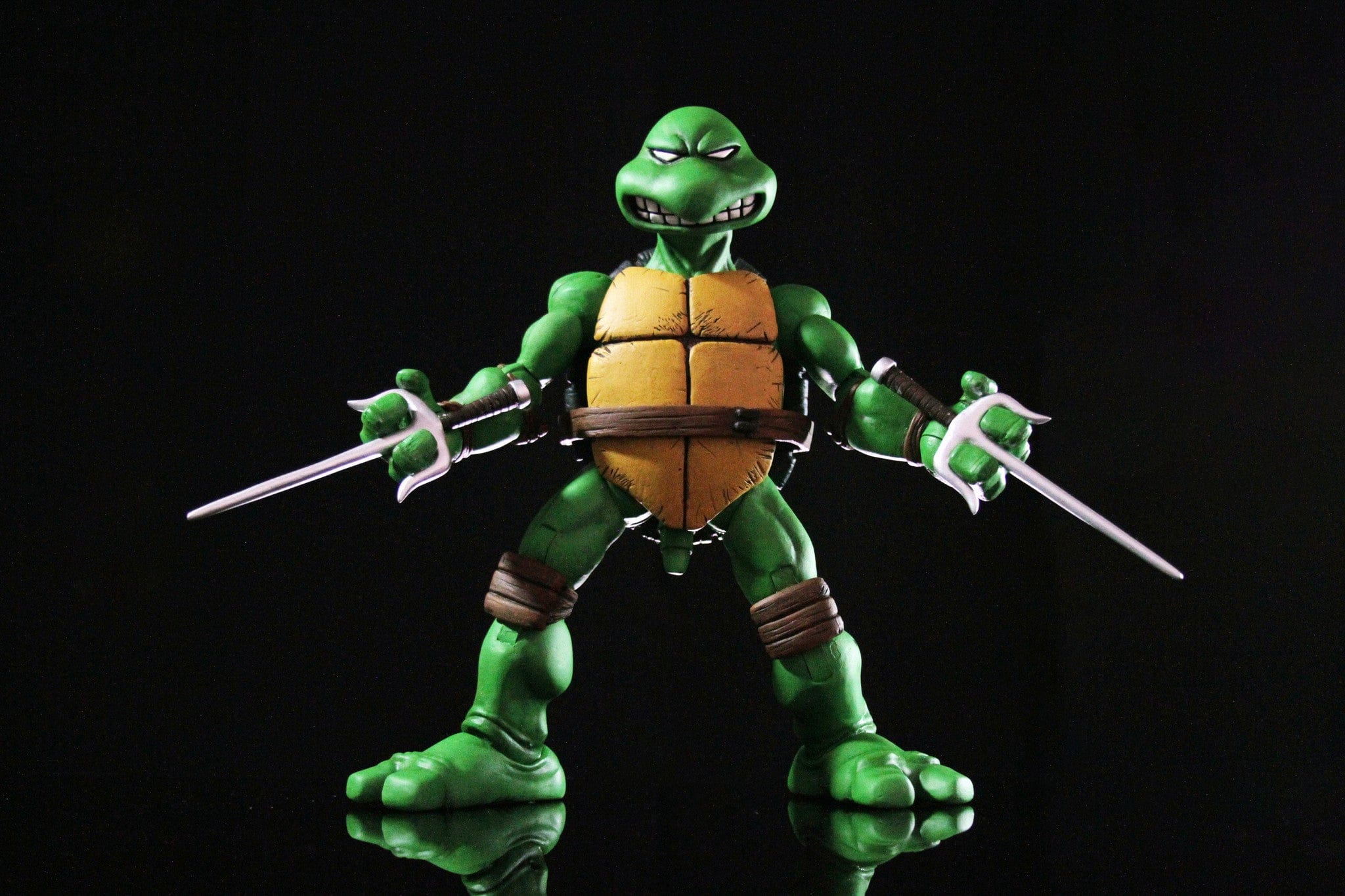 Raphael 1/6 Scale Collectible Figure - Image 19