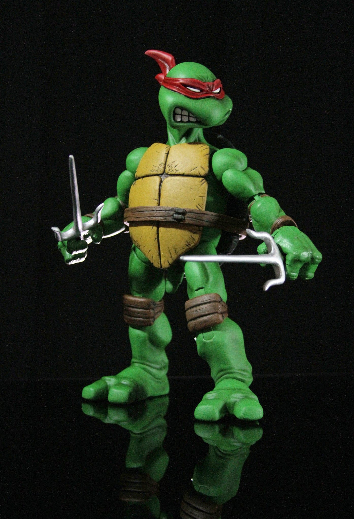 Raphael 1/6 Scale Collectible Figure Exclusive - Image 11