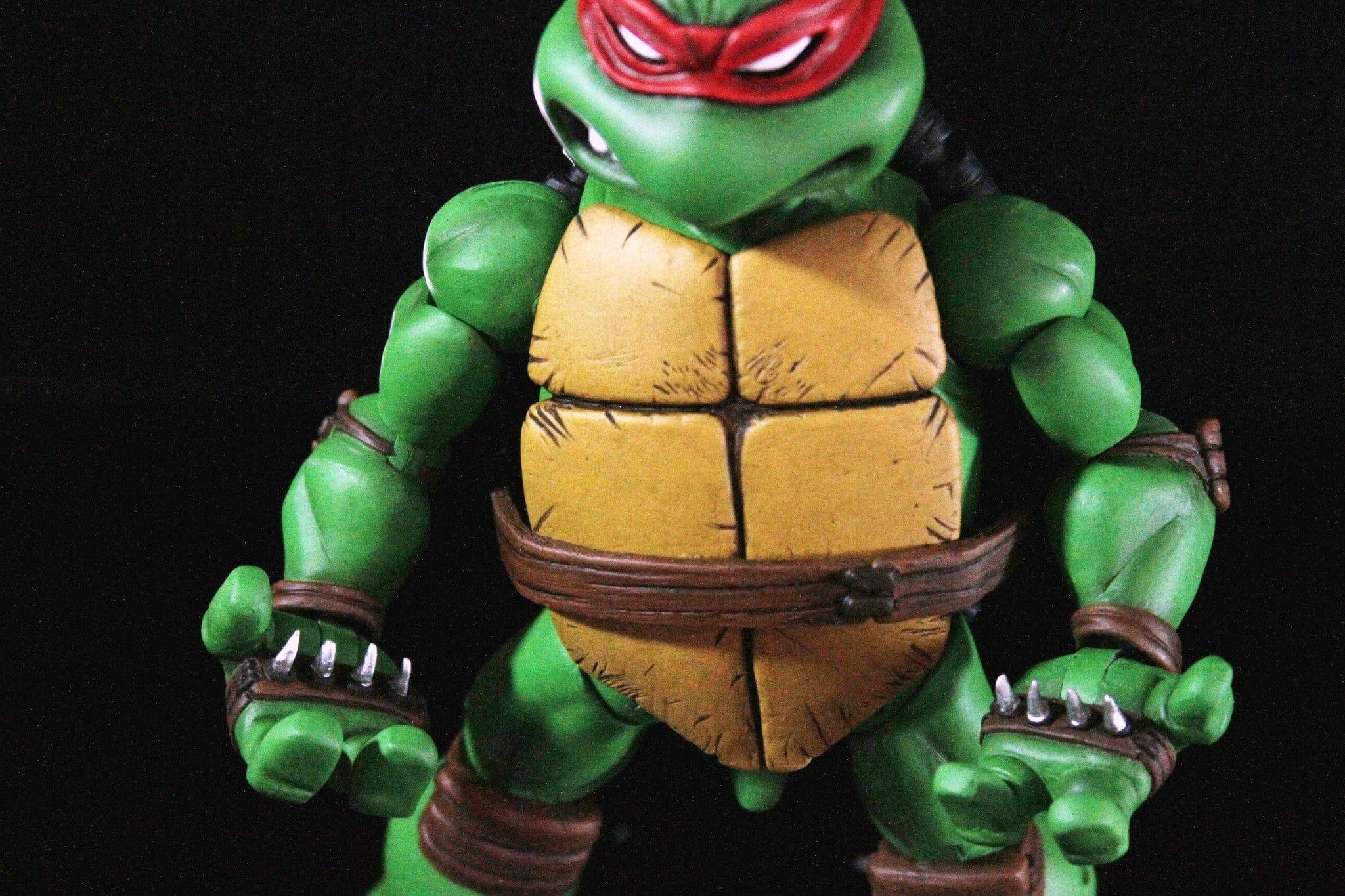 Raphael 1/6 Scale Collectible Figure Exclusive - Image 15
