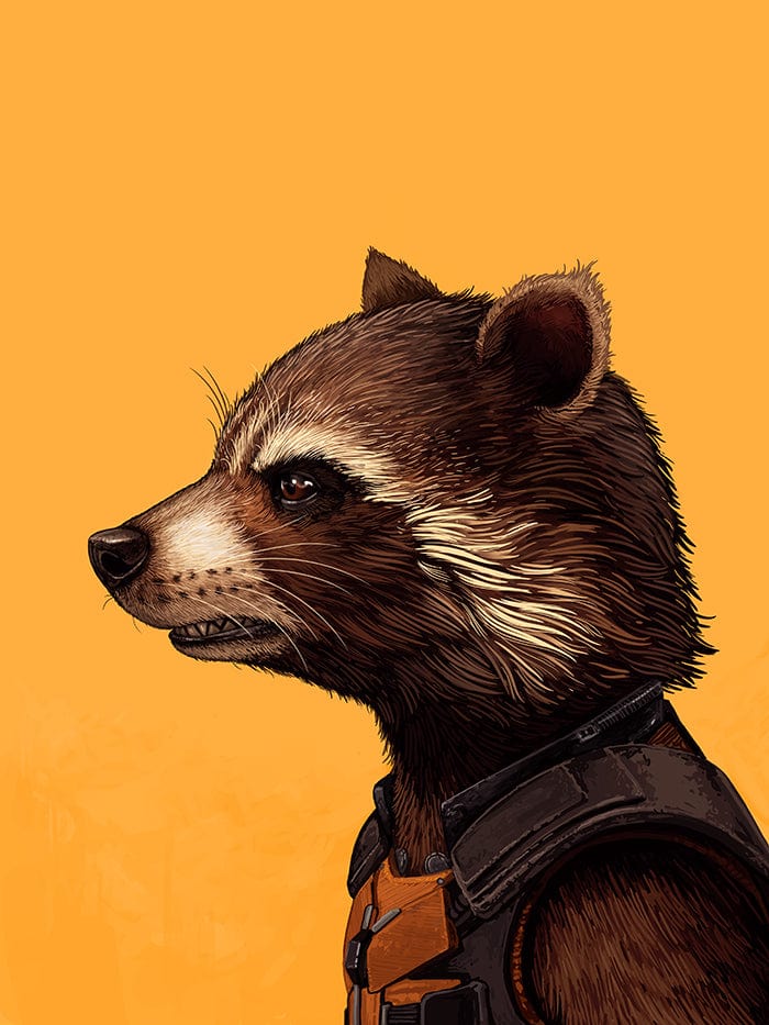 Rocket - Image 2