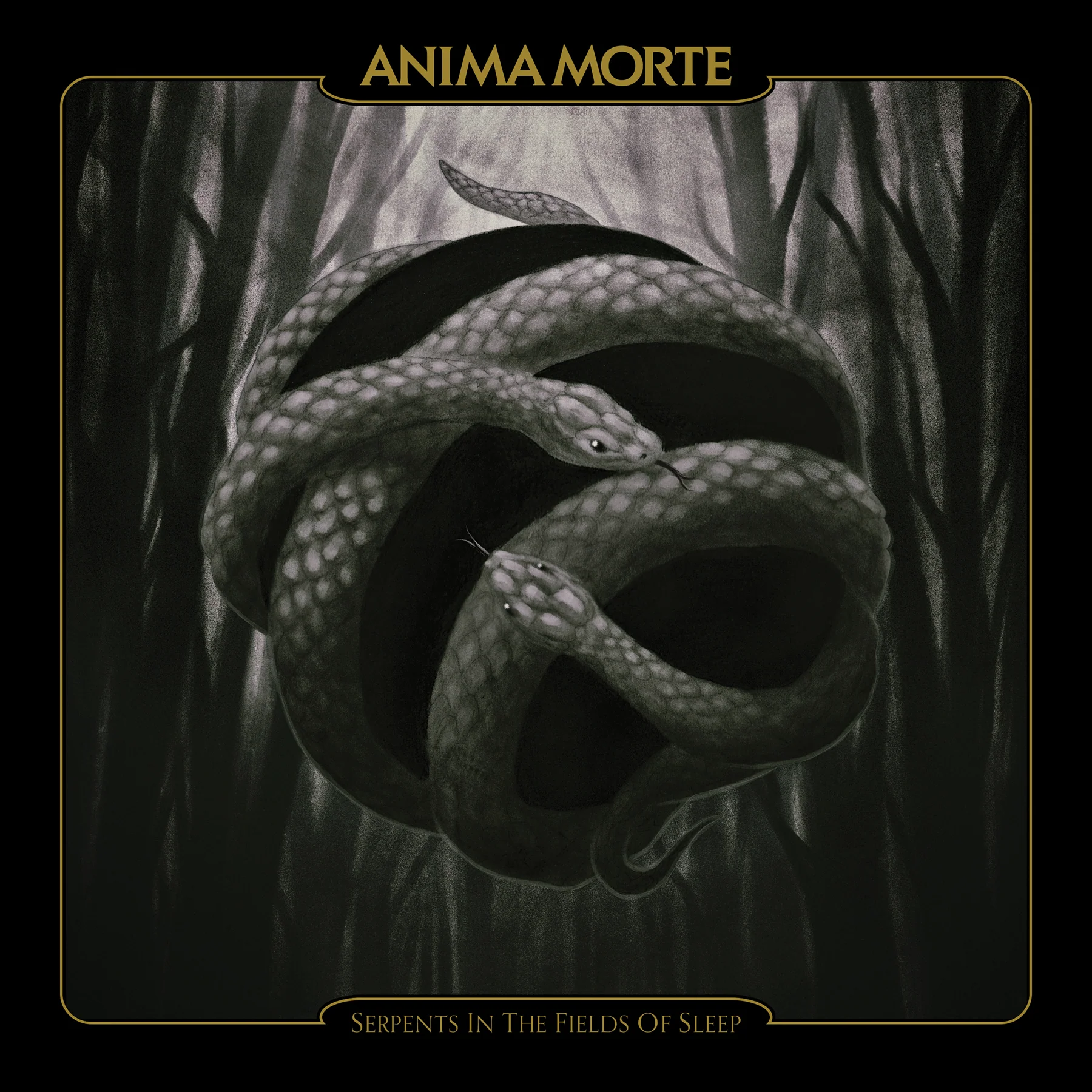 Serpents in the Fields of Sleep LP