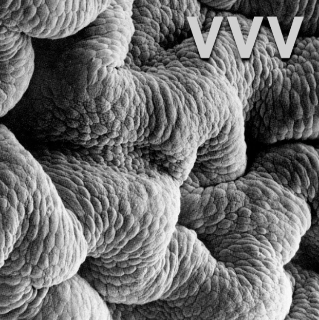 Shadow World by VVV