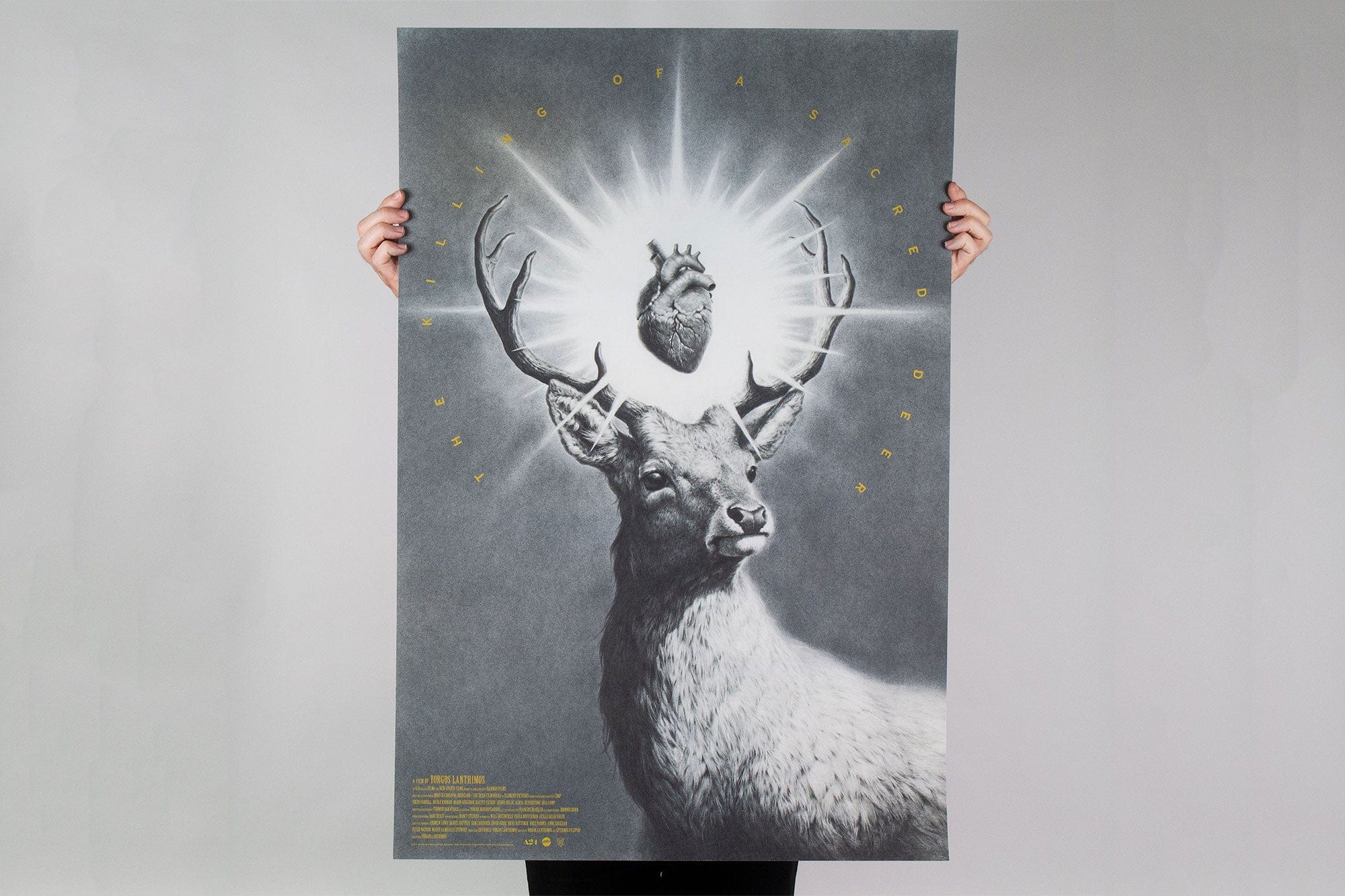 The Killing of a Sacred Deer Poster - Image 8