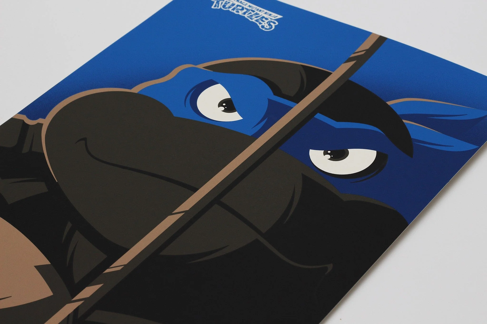 TMNT: Leonardo - Image 2