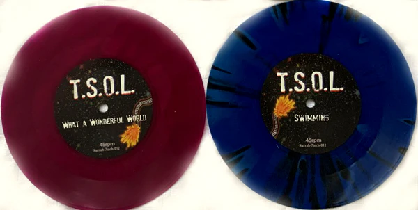 Wonderful World? 7-inch by T.S.O.L. - Image 2